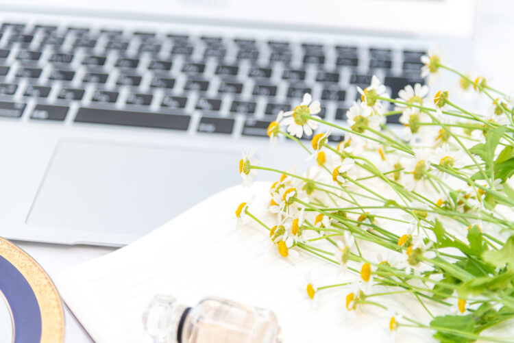 東京勤務の求人倍率とシステムエンジニア採用の需要