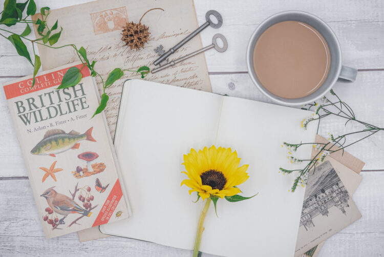 ATSに通る!エンジニア履歴書と職務経歴書の最適化術