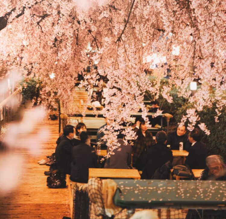 未経験OK!IT業界求人の今と対策法